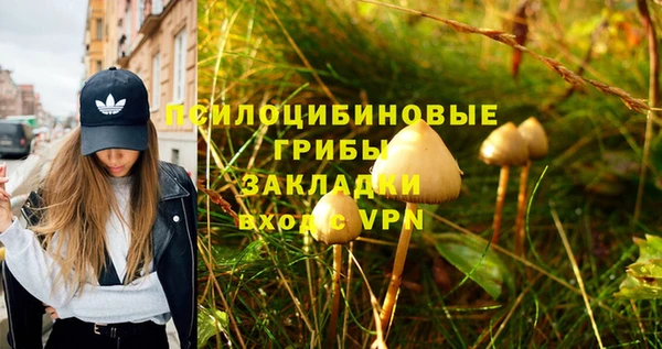круглые Арсеньев