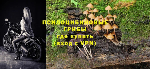 круглые Арсеньев
