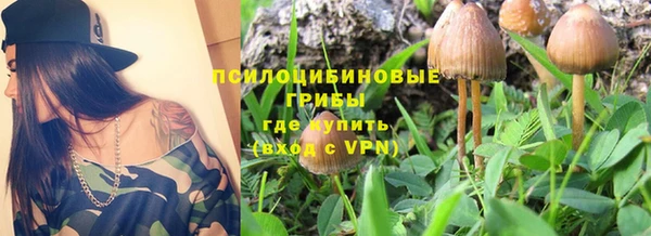 круглые Арсеньев