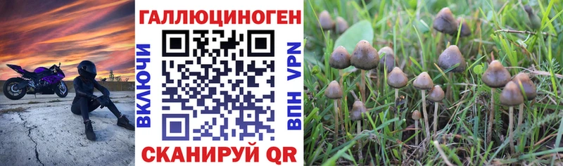 Галлюциногенные грибы ЛСД  купить   Аша 